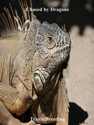 cover image of Chased by Dragons